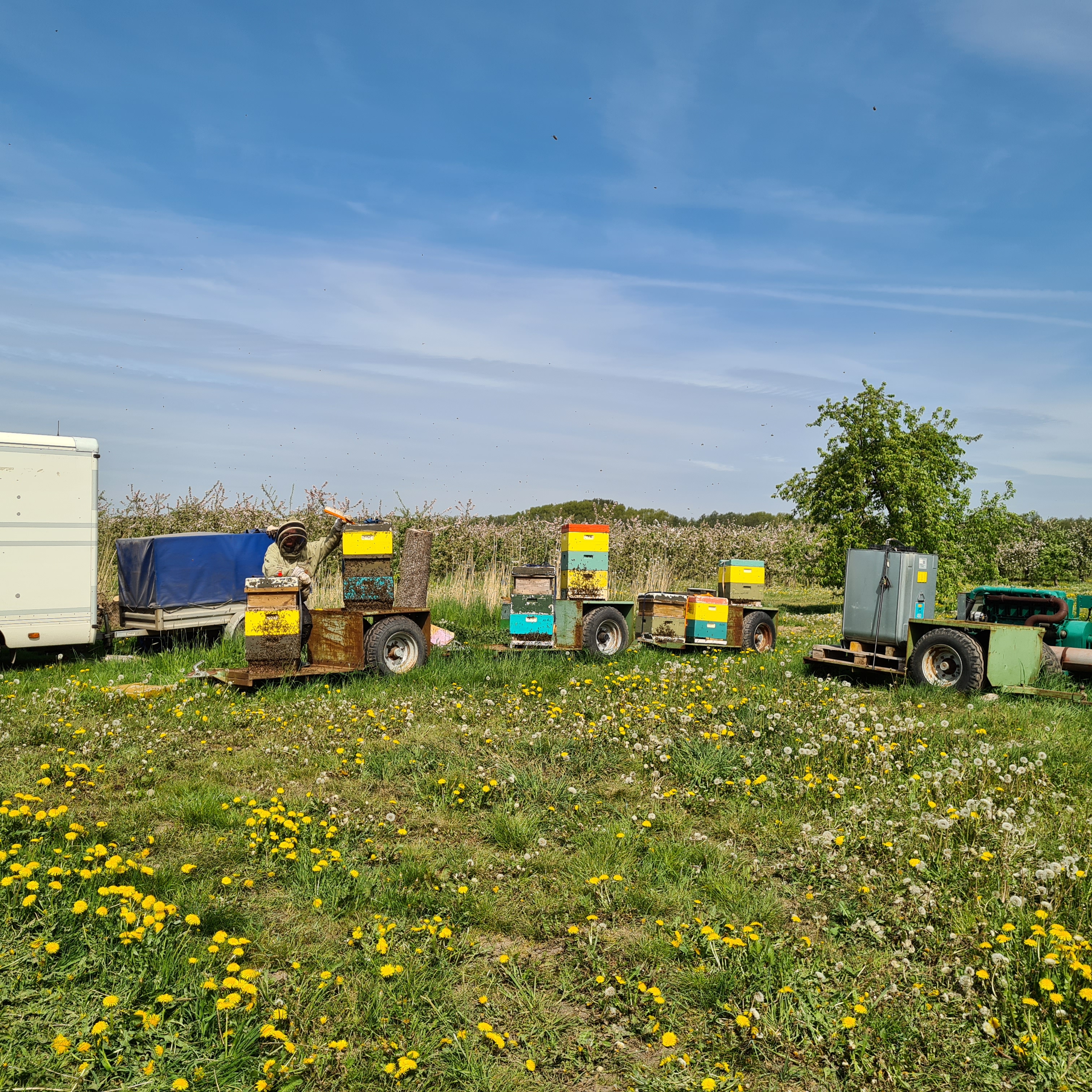 Bild 63